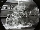 Rage Against The Machine PICTURE DISC NEW VINYL LP 20th Anniversary FREE UK POST