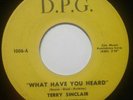 Terry Sinclair - What Have You Heard /Clown Suit D.P.G. rare northern soul