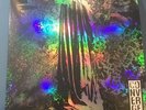 CONVERGE - The Dusk In Us LP, Purple Vinyl, Deathwish, Brand New, LTD Poster