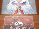 Björk – Homogenic U.K. Vinyl LP Erstauflage *RAR* *OOP* :-) ( Utopia )