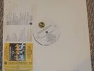 Dick Tady 30 Years of Great Polka Times record album Slovenian DJ Copy RARE