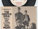 Rare Folk/Psych 45 & Pic Sleeve - The Gentle Soul - Ry Cooder ? - Tell Me Love
