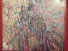 Flaming Lips Stone Roses The Time Has Come To Shoot You Down... What A Sound LP