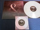 OF MICE AND MEN.THE FLOOD.LP.MARBLE VINYL.RISE RECORDS.2012.EX/EX.