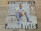 Junior Byles - Beat Down Babylon 1972 JA LP DYNAMIC 1st LEE PERRY