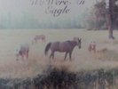 Bill Callahan-Sometimes I Wish We Were An Eagle  VINYL