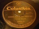 COUNTRY DOCK WALSH BANJO Going Back To Jericho / In The Pines COLUMBIA 15094