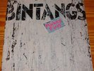 Lp:Bintangs:Mickey Finn+Promo Beiblatt in m-/vg+