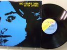 LP - Big Star - Sister Lovers - PVC 8933