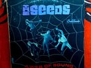 HOT SALE  THE SEEDS A WEB OF SOUND STEREO Greek PROMO LP  sky saxon