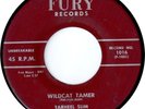 Tarheel Slim:  Wildcat Tamer / Number 9 Train