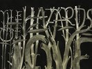 THE DECEMBERISTS THE HAZARDS OF LOVE LP VINYL NEW 33RPM