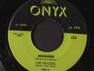 VELOURS: Can I Walk You Home / Remember 45 Vocal Groups