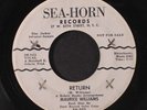 MAURICE WILLIAMS: Return / My Baby's Gone 45 (dj, wol, xol, sl warp dnap) Soul