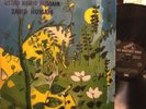 USTAD HAMID HUSSAIN...ZAHID HUSSAIN...SARANGI...12''..ORIGINAL PRESS..EMI RECORD