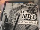 the hated What Was Behind Lp 12