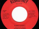 KENNETH HIGNEY 1980 US *FUNKY KINKY* Lo-Fi PUNK FUNK PSYCH PRIVATE  N MINT