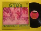 GTO's Permanent Damage Frank Zappa Pamela Des Barres Psych Prog Rock VG++ EX LP