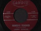 LANNY DUNCAN: Romeo's Teacher / Why Did We Say Goodbye 45 rare Rockabilly