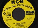 VELOURS: Don't Pity Me / I'm Gonna Change 45 (dj, clean ) rare Soul