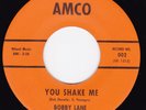 Rockabilly / Teen 45 on AMCO - BOBBY LANE - You Shake Me / Little Angel