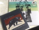 AT THE DRIVE IN DIAMANTE AASEE LAKE VINYL MURDER CITY DEVILS SPARTA MARS VOLTA