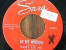 EX RARE WISCONSIN GARAGE 45 HARRY & THE CATALINAS By My Window SARA Records