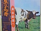 Japan Red Vinyl  Pink Floyd/Atom Heart Mother  OP-80102  Free Shipping