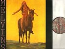 MELVINS self titled (lysol) (180g reissue) LP EX/EX BR35  alternative rock metal