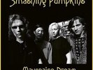 Smashing Pumpkins - Mayonaise Dream Broadcast From Tower Records July 1993 VINYL