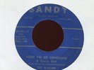THE MARLINS Now I'm So Lonesome on Sandy Teen R&B Doo Wop 45 Hear