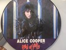 Alice Cooper Bed Of Nails Picture Disc Import