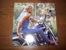 JOHNNY HALLYDAY L.P PICTURE 