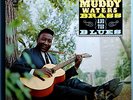 MUDDY WATERS MUDDY, BRASS & BLUES RARE ORIG '66 CHESS STEREO LP 1A/1A BEAUTIFUL