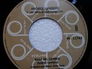 ANDRES LANDERO MARA DEL CARMEN CUMBIA  ???  # 85