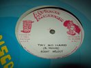 BOBBY MELODY Try so hard JA African Museum GREGORY ISSACS Echoes Roots ** M- **