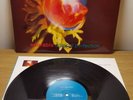 Adorable - Against Perfection LP Vinyl Album Original 1993