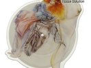FISH (Marillion) - A Gentleman’s Excuse Me- Shaped Vinyl Picture Disc