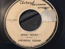 Kentucky Garage Universal Sound What Now? Chetwyd Records 45rpm