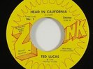 Ted Lucas and the Horny Toads 