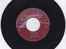 BLUES 45RPM - SUGAR BOY ON CHECKER - RARE   NICE COPY   WEBTOP