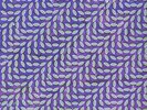 ANIMAL COLLECTIVE - MERRIWEATHER POST PAVILION NEW VINYL