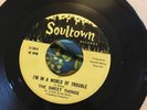 The Sweet Things - I'm In A World If Trouble / Baby's Blue