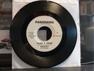 Rocky & the Riddlers FLASH & CRASH / BATMAN Panorama 1st ed PROMO Garage 45 VG+