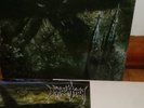 IMMOLATION - Unholy Cult lp original 2002 Listenable recs press #80/666