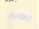 Built To Spill-There`s Nothing Wrong With Love (Includes Download C VINYL LP NEW