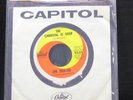 The Seekers - The Carnival Is Over 7