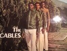 The Cables - What Kind of World LP VGC Studio One
