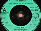 THE DAMNED DOZEN GIRLS 7