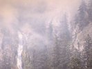 WOLVES IN THE THRONE ROOM - Diadem Of 12 Stars - Vinyl (gatefold 2xLP)